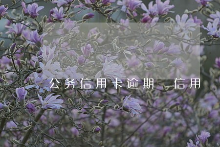公务信用卡逾期 信用 公务信用卡逾期 信用
